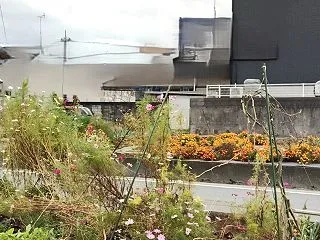 仕事が楽な日々