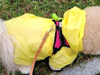 題名が考えられないので"金曜日…