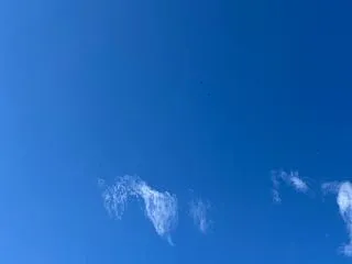今日はショーペロ
