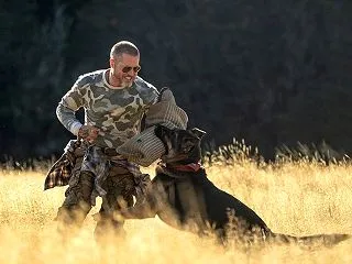 ハート・オブ・ビースト