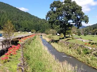 福井県福井市 一乗谷朝倉氏遺跡
