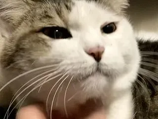 夢への軌跡_コミュニケーションが難しいな…