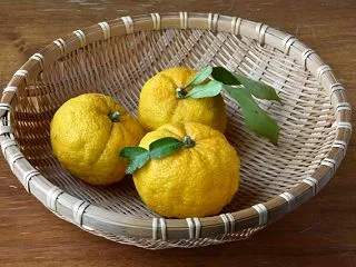 柚子の栄養と効能を徹底解説！肌と腸内環境…