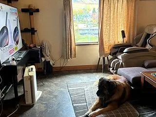 髭の手入れ