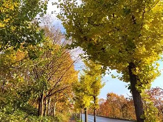 富山マラソンに向けて移動中