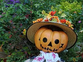 🎃happy Halloween🎃