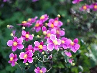 道徳心に反することをしてるといずれ思い知…