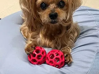 思ってたのと違うこと