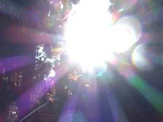 数はこなしてなかった