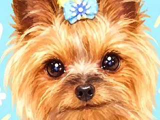 happybirthday✩︎ポポとハロ…