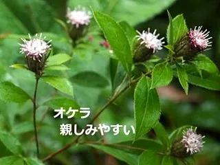暦‐2026年10月31日