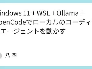 Windows 11 + WSL + O…