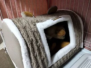 冬支度