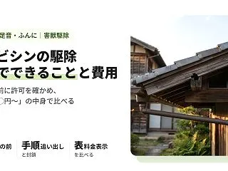 ハクビシンの駆除｜自分でできること・業者…