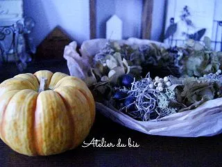 Happy Halloween ✨