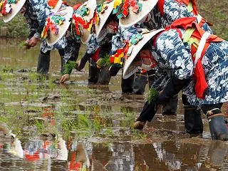 田植のお祭り