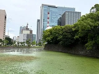セキュリティの観点からレンタルサーバーの…