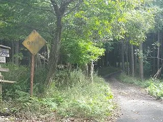 林道白木谷線、じゃない方 ひっそりこっそ…