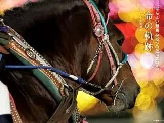 【ばん馬】ばんえい競馬カレンダー2027…