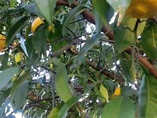 血圧が高すぎ。