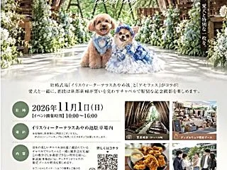 愛犬と行くR8/10/31(土)世界遺産…