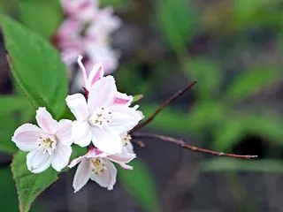 朝からバタバタ。