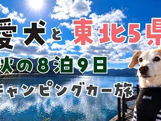 東北5県｜愛犬と巡る秋の東北8泊9日キャ…