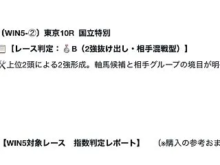 第31回 ファンタジーS