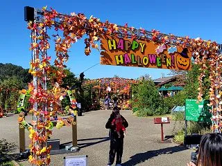 花とハロウィン「国営越後丘陵公園」