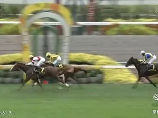 １０月２５日（日） 勝負・注目レース結果…