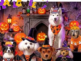 HappyHallween!٩(ˊᗜˋ)…