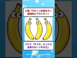 【衝撃】バナナさん、実は全員クローンでク…