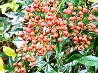 今日の記念日
