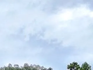 今日の万歩計