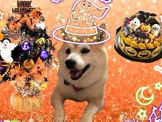 ハロウィン〜♪