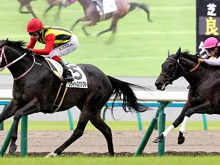 ファンタジーSは人気サイドの決着とみます…