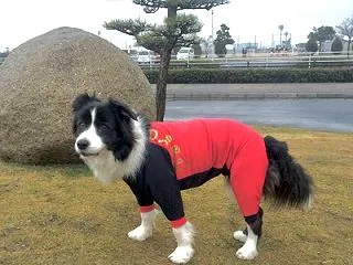 雨の日は荒れ狂います♪