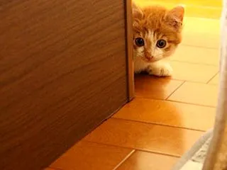 祝☆ ちーちゃん ５歳