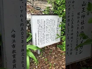 釣りキャンプとかしたら楽しそうですよ 愛…