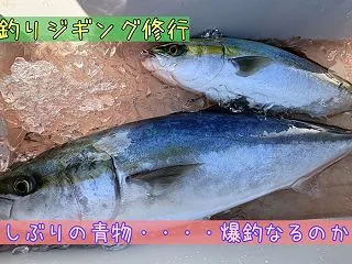 船釣りジギングで青物狙い🎣 in徳島県鳴…