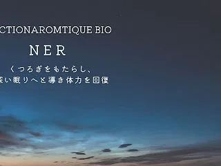 今月（11月）のフリクション「NER」